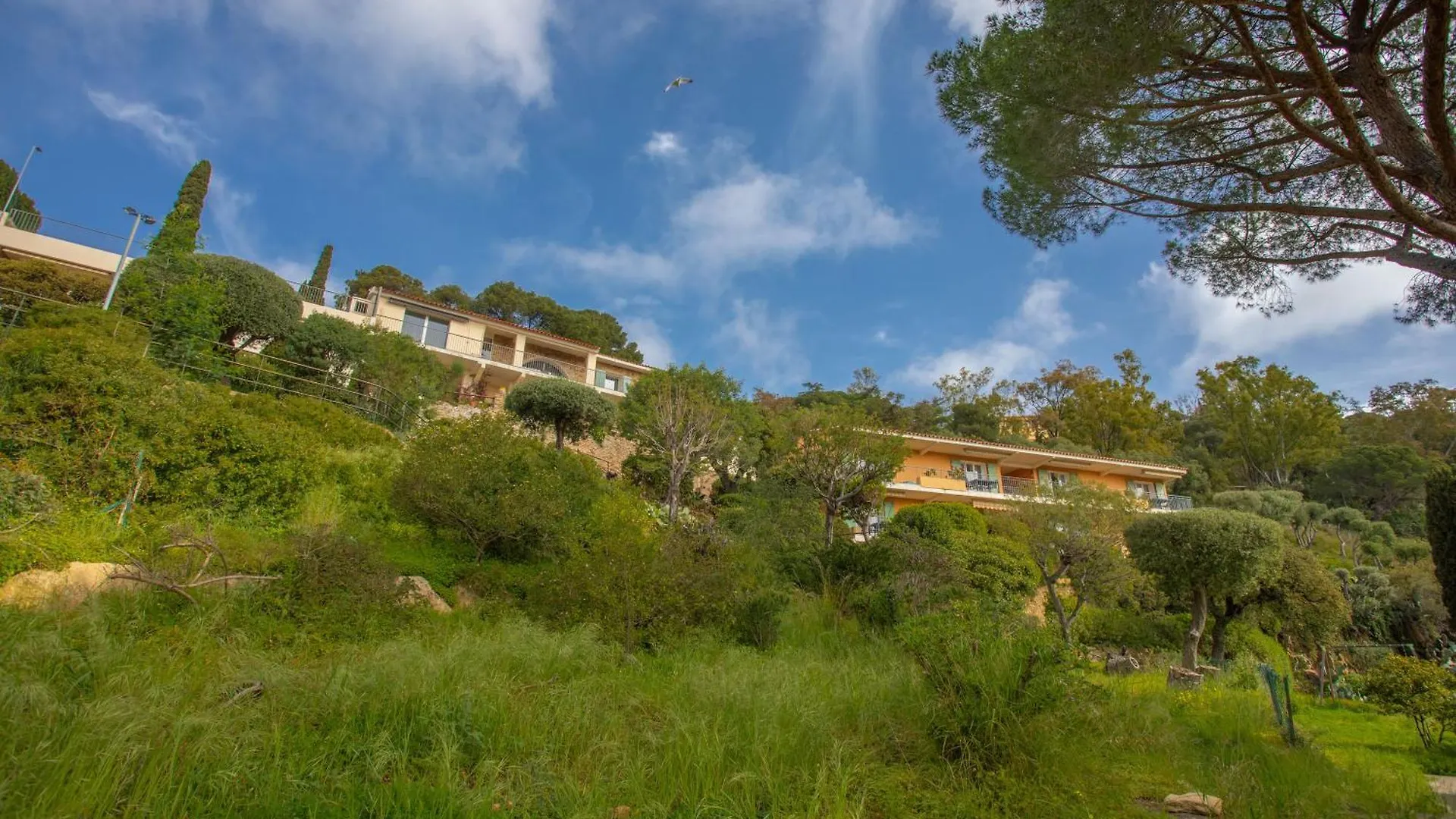 Le Mas Berliat F2 N°15 Bormes-les-Mimosas Francie